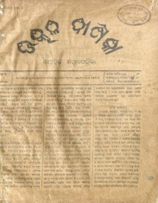 Newspaper